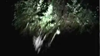 MONTEALPET DI NOTTE.MOV