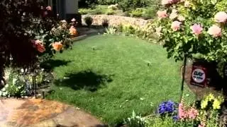 California Governor Orders Mandatory Water Cuts