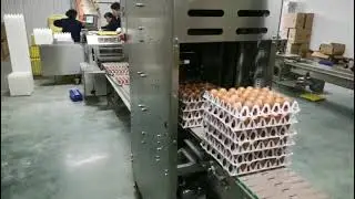 Auto denester egg packer with tray stacker