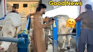Pari ko Alhamdulillah semen rakhwa diya🥰😘