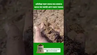 রেডি মিক্স সয়েলে (Ready Mix Soil)। #FarmsHouseBD #reels #reelsvideo #viral