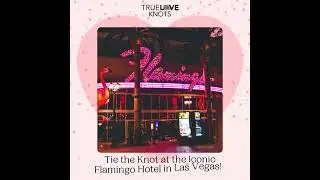 Dream Wedding at the Iconic Flamingo Hotel Las Vegas | Say 'I Do' in Style!