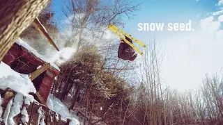 snow seed | Phil Casabon
