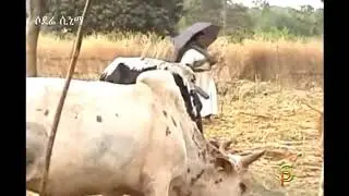 Ethiopian Cultural Music - Sewhareg arga - Weye Bahir Dar