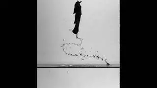 An archer fish jumping out of the water