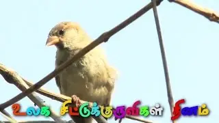 சிட்டுக் குருவிக்கென்ன கட்டுப்பாடு..