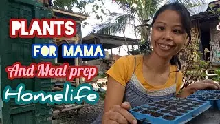 Province lifestyle Plants For Mama And Meal Prep Homelife 