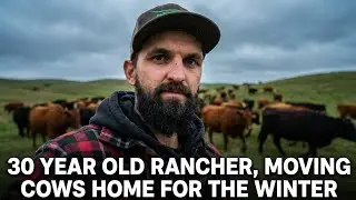 The struggles! Moving the herd to our home ranch.