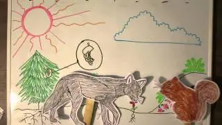 The Energy Cycle