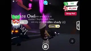 Making neon nightmare owl and neon cat in adopt me!