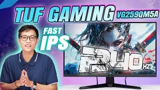 ASUS TUF VG259QM5A: M&agrave;n H&igrave;nh Fast IPS 240Hz 0.3ms Ngon Nhất 2025?