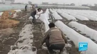 China : The 'cancer village' of Xiditou