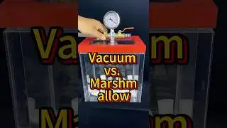 Test - Marshmallow in a Vacuum  #experiment #vacuum #science #physics #research