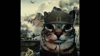 thousand-yard stare cat meme