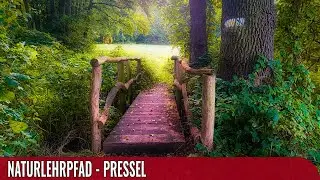 Rare Wildlife: Hike Through Presseler Moorlands