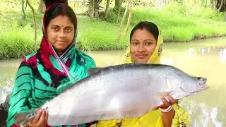 2kg সাইজের চিতল মাছের মুইঠ্যা রেসিপি || famous bengali traditional  chitol macher muithya recipe