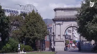 'You have to be responsible' - Dublin residents on mass littering and lack of outdoor facilities ...