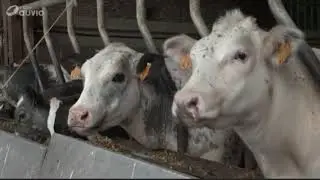 nos agriculteurs vont-ils disparaître?