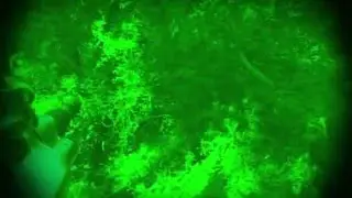 The Balibo Night   - East Timor War - Rob Taylor