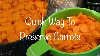 Preserving Garden Carrots #garden #howto #preserve #freezing #vegetables #quick