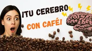 La Ciencia Revela Qué Le Hace la Cafeína a Tu Cerebro (Según Estudios Reales)