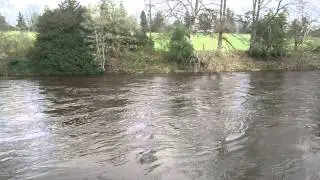 River Earn - Kinkell Bridge