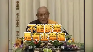 梦参法师开示：不能断荤是有业牵缠。#佛法#佛經#講經#念佛#修行