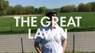 The Great Lawn in Central Park