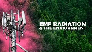 The Effect Electromagnetic Pollution on The Environment with Nick Pineault