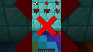 Trapped In Insane Nether Maze?