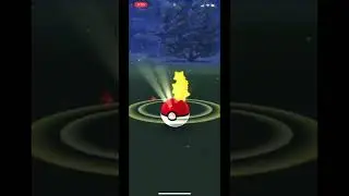 Pok&eacute;mon go critical capture