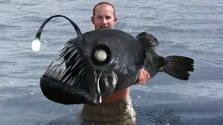 10 Strangest Creatures Ever Discovered!