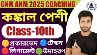কঙ্কাল পেশি Class 10 || Class 10  Life Science || ANM & GNM Class 2025