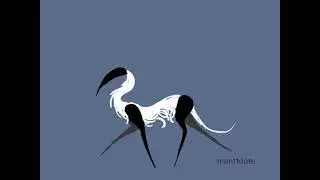 four-legged gait