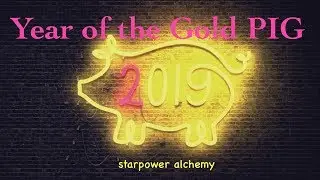YEAR of the GOLD PIG 2019 - Yellow Earth Boar