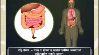 Maharashtra State Board│Std 10│Marathi Medium│Science│Kompkin