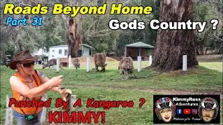 Roads Beyond Home Part 31 | Boxing KANGAROO'S | SCARED little KIMMY |