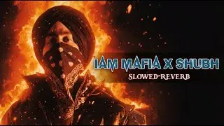 Gangster Vibes ] Punjabi Gangster Mashup | Slowed + Reverb 2025