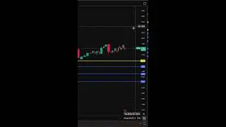 Live Day Trading - The Financial Doctor