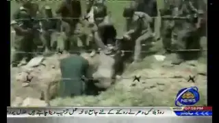 PTV News Live Stream
