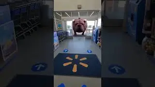 Animals Funny Moments #Shorts #Animals #Sora2 #Funny