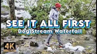 See the Trail First | Dog Stream Waterfall Trail (4K First Person Walk)