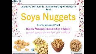 Lucrative Business | Investment Opportunities to Start Soya Nuggets Manufacturing Plant.