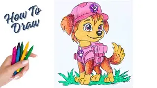 How to draw Skye - Paw Patrol Mighty Pup || Easy drawing for kids