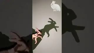 Hand Shadow Puppet Tutorial 🤞🔥
