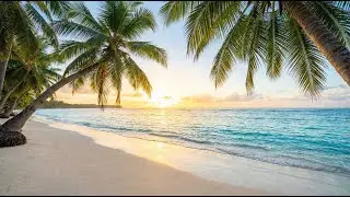 Island Reggae Mix - Sunset Beach Ambiance &bull; Perfect for Chilling Out 🌅 - chill reggae, tropical