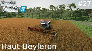 Cirok betakar&iacute;t&aacute;s! | Haut-Beyleron #27 | FS22 Timelapse