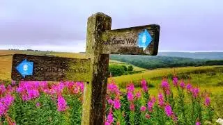 Part 3. of The South Downs way Amberley to Queen Elizabeth Country Park Old Winchester Hill  UK