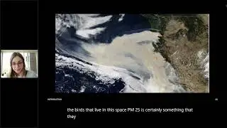 Fall 2021 - Olivia Sanderfoot - The effect of air pollution on bird observations