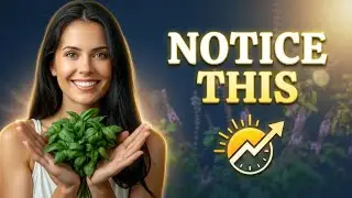Try Holy Basil Tea Tonight and Notice This Tomorrow Morning